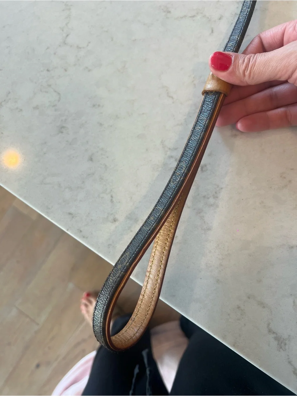 Louis Vuitton Monogram Leather Dog Leash in Brown and Tan